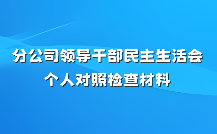 分公司领导干部民主生活会个人对照检查材料