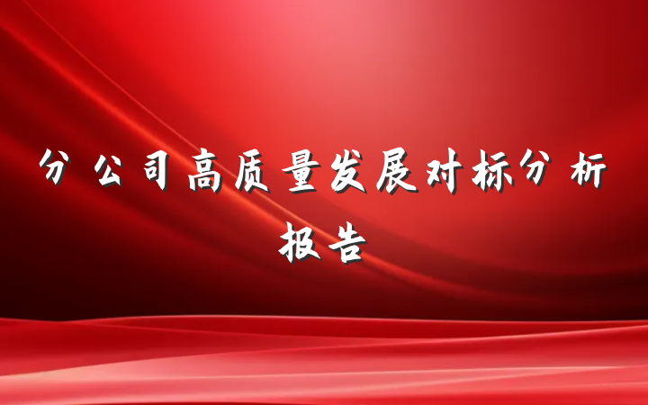 分公司高质量发展对标分析报告