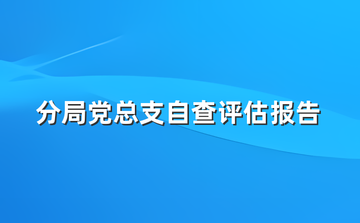 分局党总支自查评估报告