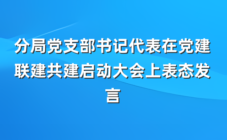 分局党支部书记代表在党建联建共建启动大会上表态发言
