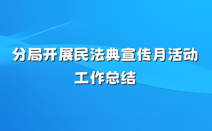 分局开展民法典宣传月活动工作总结