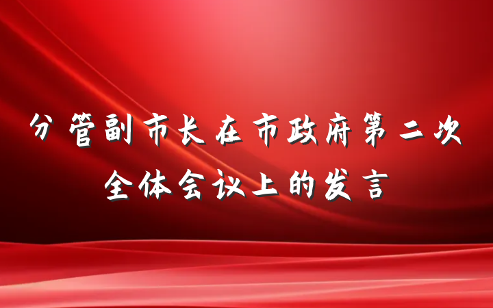 分管副市长在市政府第二次全体会议上的发言