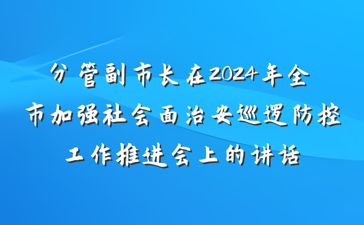 分管副市长在2024年全市加强社会面治安巡逻防控工作推进会上的讲话