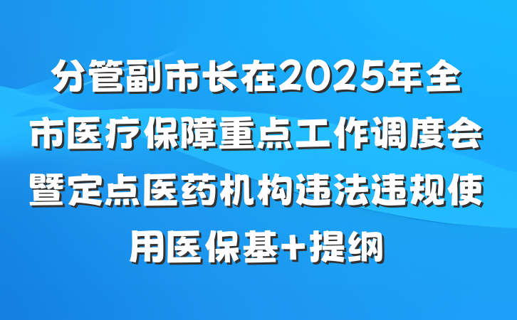 分管副市长在2025年全市医疗保障重点工作调度会暨定点医药机构违法违规使用医保基 提纲