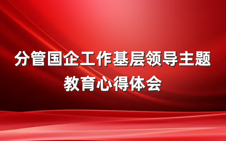 分管国企工作基层领导主题教育心得体会