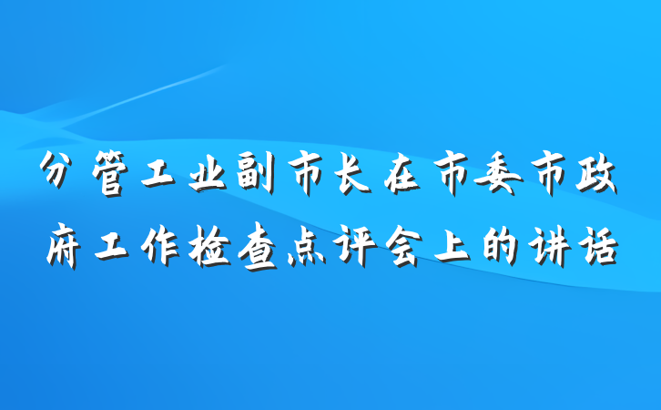 分管工业副市长在市委市政府工作检查点评会上的讲话