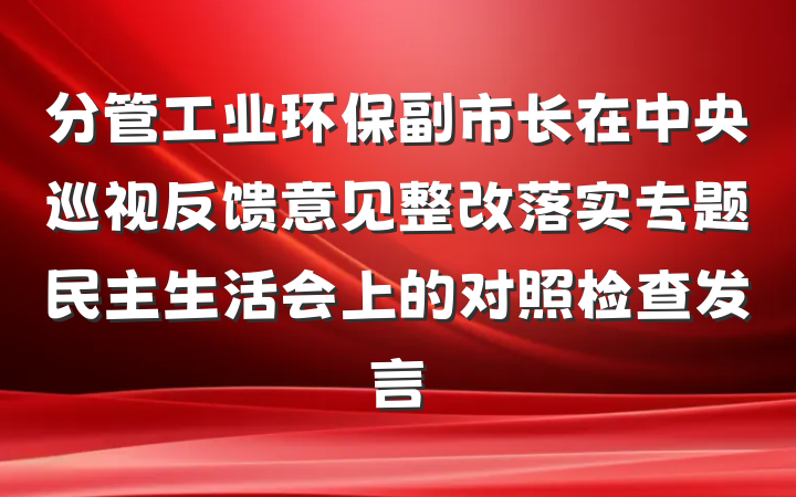 分管工业环保副市长在中央巡视反馈意见整改落实专题民主生活会上的对照检查发言