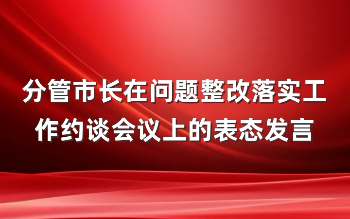 分管市长在问题整改落实工作约谈会议上的表态发言