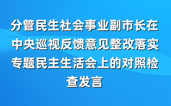分管民生社会事业副市长在中央巡视反馈意见整改落实专题民主生活会上的对照检查发言