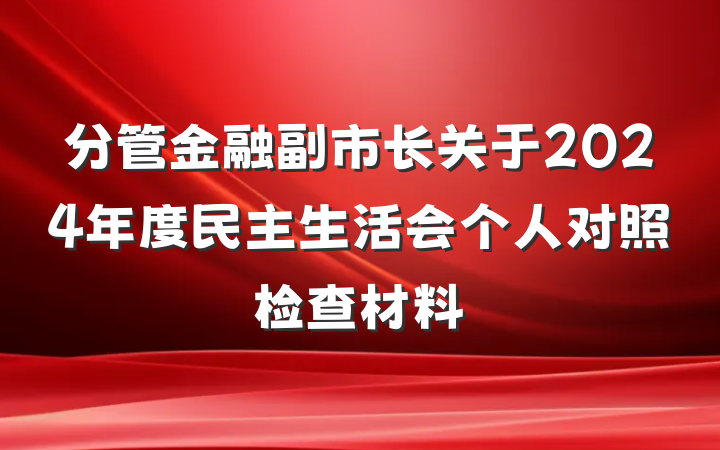 分管金融副市长关于2024年度民主生活会个人对照检查材料