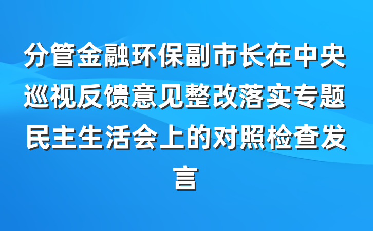 分管金融环保副市长在中央巡视反馈意见整改落实专题民主生活会上的对照检查发言