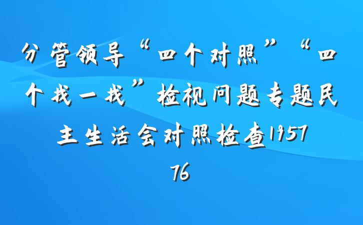 分管领导“四个对照”“四个找一找”检视问题专题民主生活会对照检查195776
