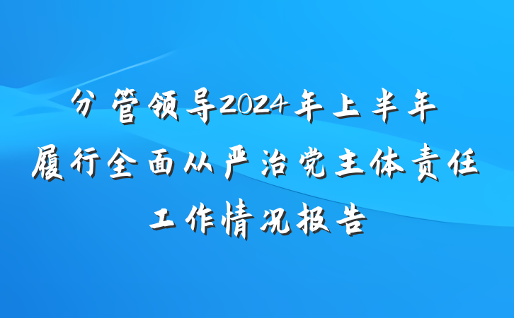 分管领导2024年上半年履行全面从严治党主体责任工作情况报告