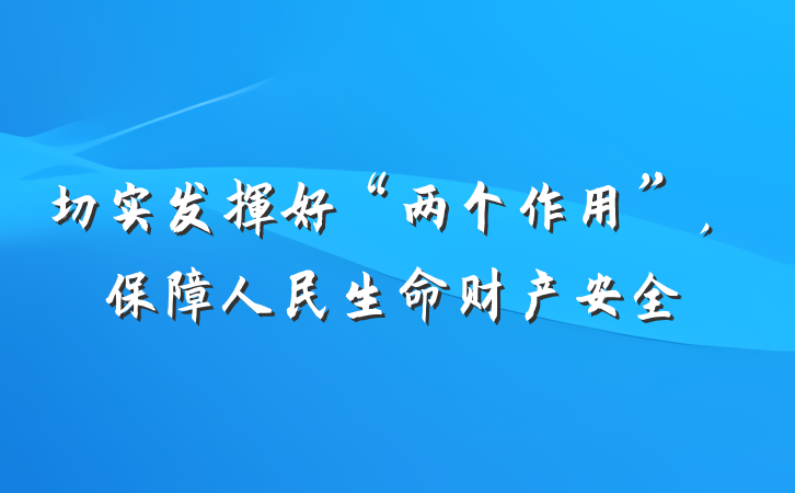 切实发挥好“两个作用”，保障人民生命财产安全