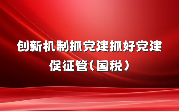 创新机制抓党建　抓好党建促征管(国税)