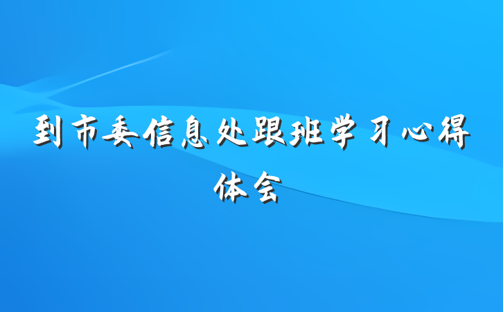 到市委信息处跟班学习心得体会
