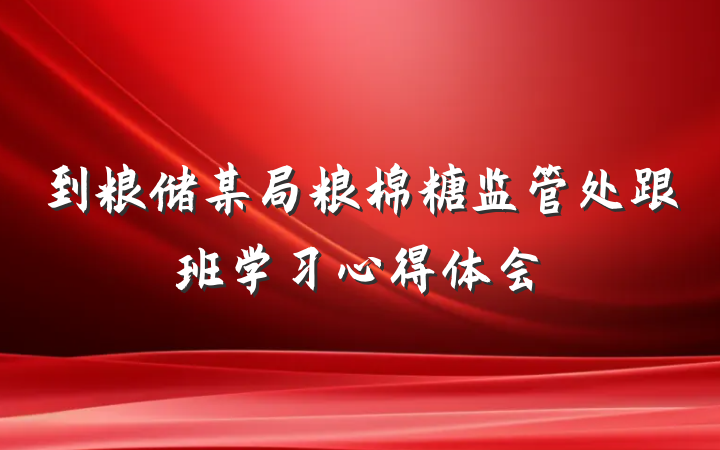 到粮储某局粮棉糖监管处跟班学习心得体会