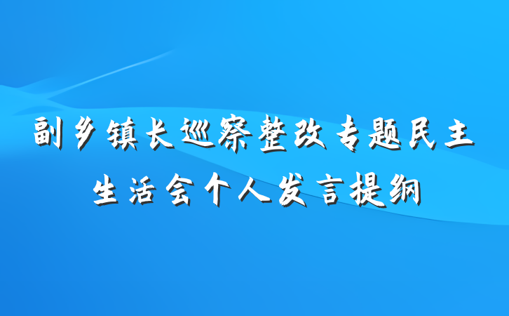 副乡镇长巡察整改专题民主生活会个人发言提纲