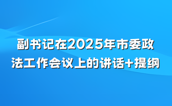 副书记在2025年市委政法工作会议上的讲话 提纲