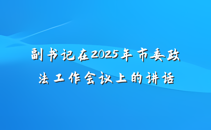 副书记在2025年市委政法工作会议上的讲话