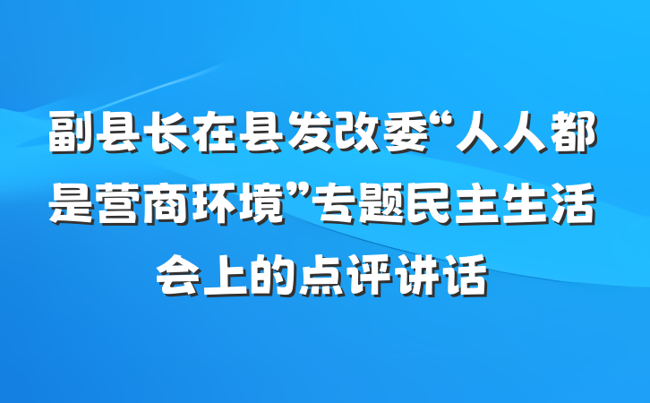 副县长在县发改委“人人都是营商环境”专题民主生活会上的点评讲话