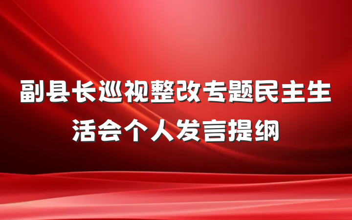 副县长巡视整改专题民主生活会个人发言提纲