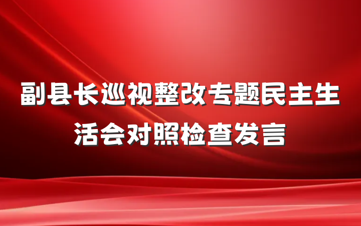 副县长巡视整改专题民主生活会对照检查发言