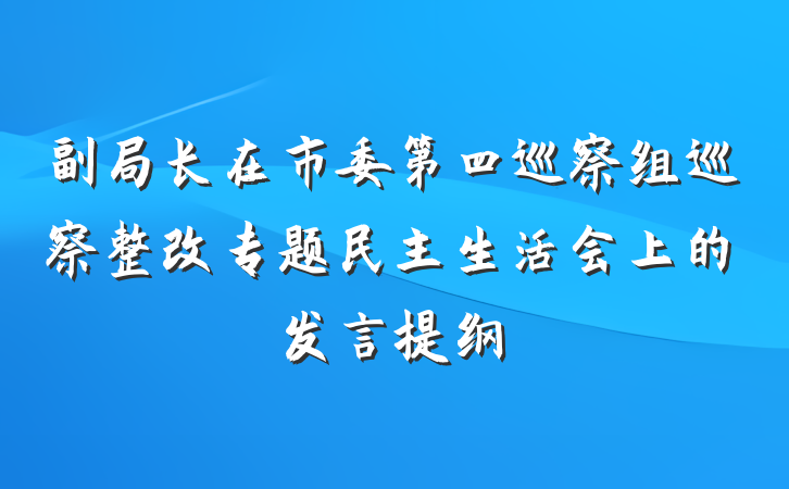 副局长在市委第四巡察组巡察整改专题民主生活会上的发言提纲