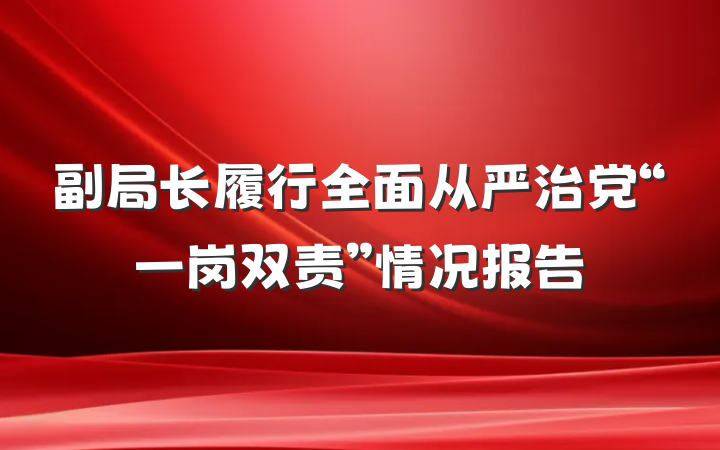 副局长履行全面从严治党“一岗双责”情况报告