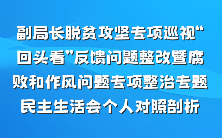 副局长脱贫攻坚专项巡视“回头看”反馈问题整改暨腐败和作风问题专项整治专题民主生活会个人对照剖析