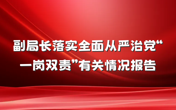 副局长落实全面从严治党“一岗双责”有关情况报告