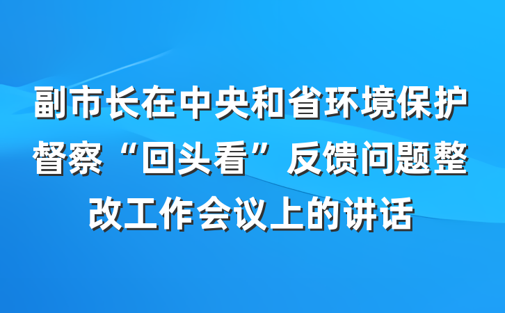 副市长在中央和省环境保护督察“回头看”反馈问题整改工作会议上的讲话