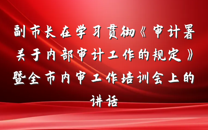 副市长在学习贯彻《审计署关于内部审计工作的规定》暨全市内审工作培训会上的讲话