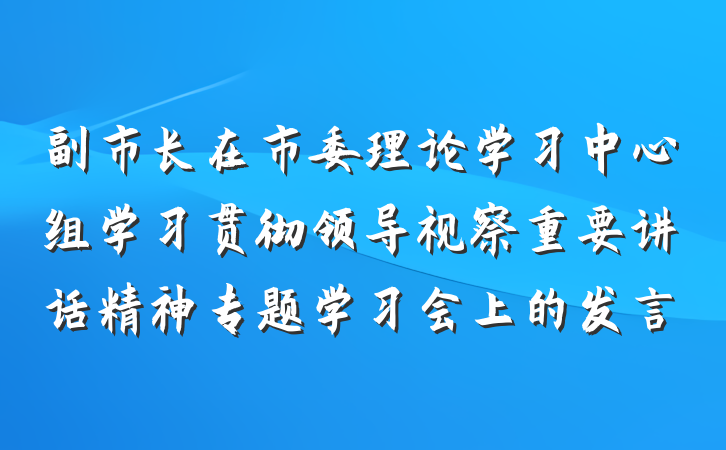 副市长在市委理论学习中心组学习贯彻领导视察重要讲话精神专题学习会上的发言