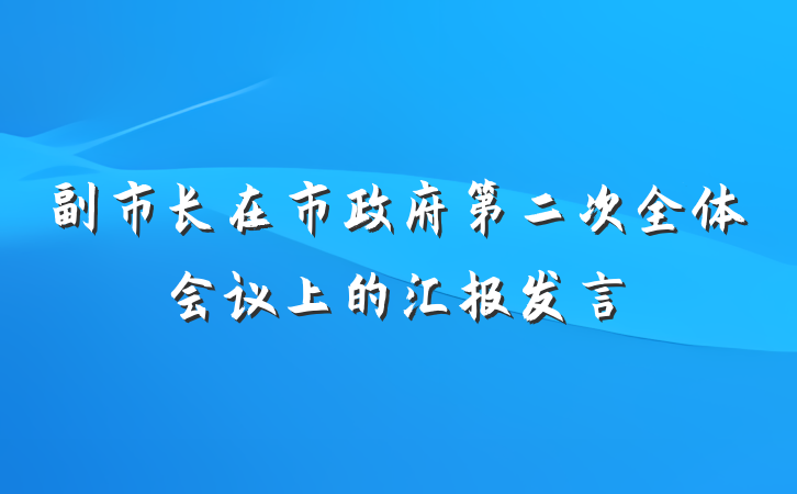 副市长在市政府第二次全体会议上的汇报发言