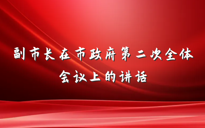 副市长在市政府第二次全体会议上的讲话