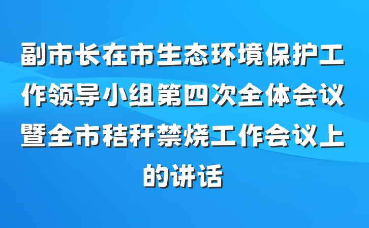 副市长在市生态环境保护工作领导小组第四次全体会议暨全市秸秆禁烧工作会议上的讲话