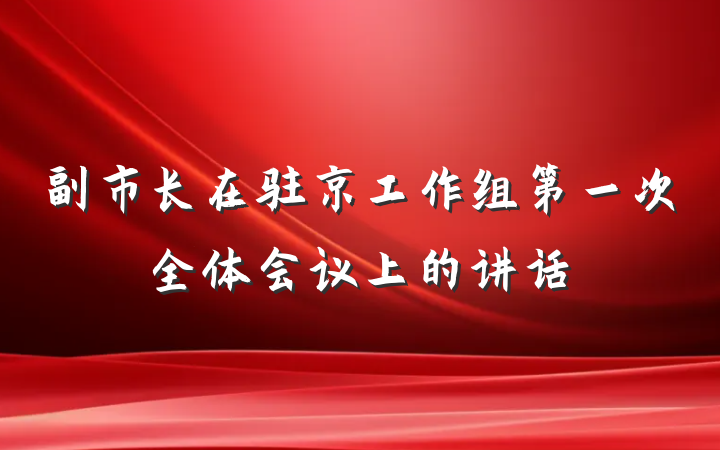 副市长在驻京工作组第一次全体会议上的讲话