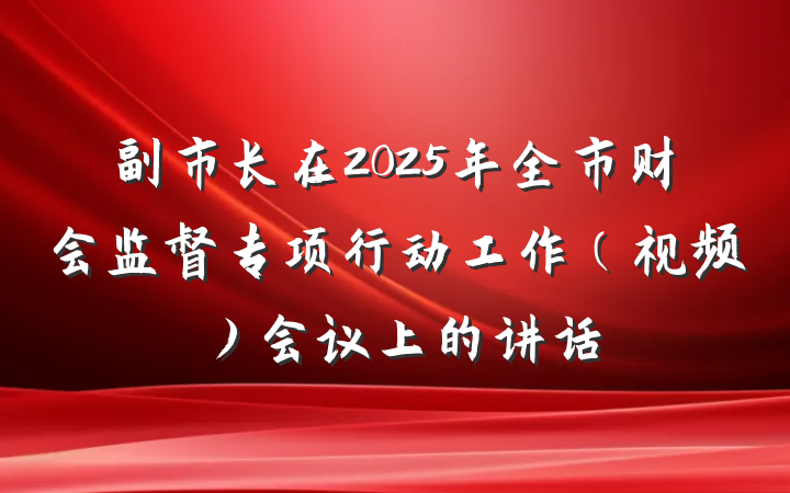 副市长在2025年全市财会监督专项行动工作（视频）会议上的讲话