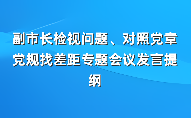 副市长检视问题、对照党章党规找差距专题会议发言提纲
