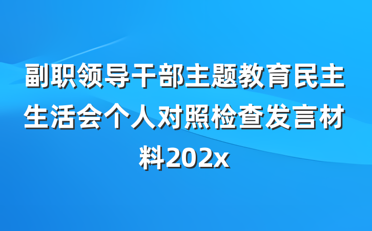 副职领导干部主题教育民主生活会个人对照检查发言材料202x