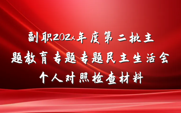 副职202x年度第二批主题教育专题专题民主生活会个人对照检查材料