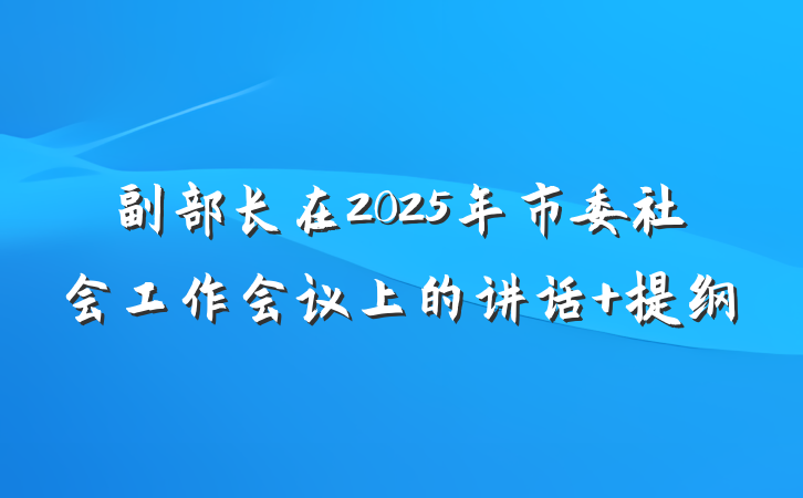 副部长在2025年市委社会工作会议上的讲话 提纲