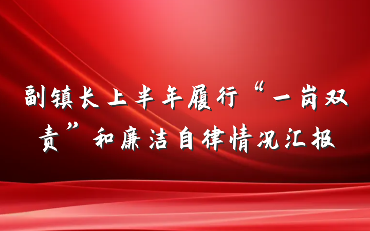副镇长上半年履行“一岗双责”和廉洁自律情况汇报