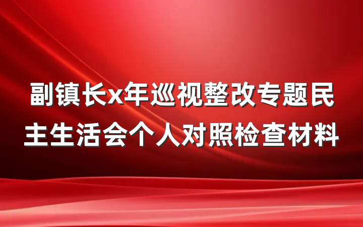 副镇长x年巡视整改专题民主生活会个人对照检查材料
