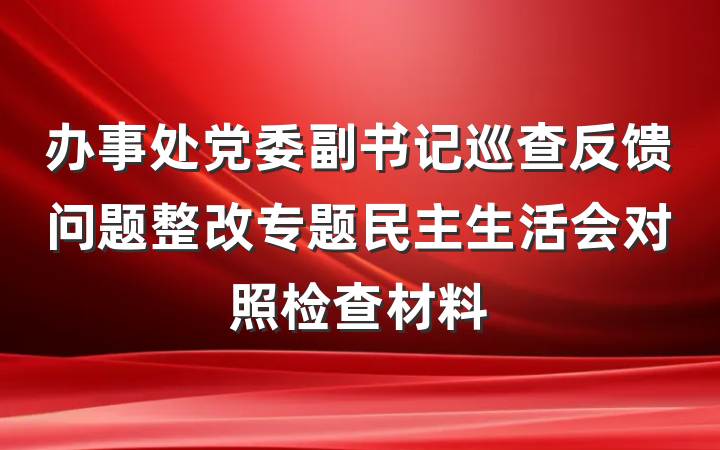 办事处党委副书记巡查反馈问题整改专题民主生活会对照检查材料