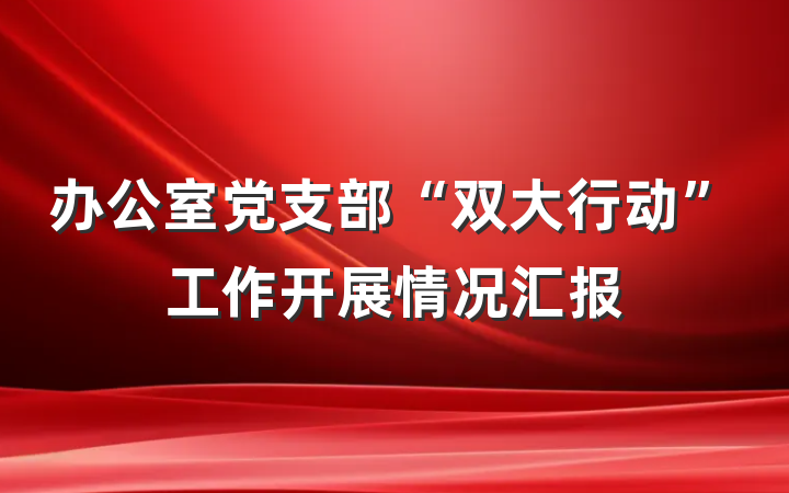 办公室党支部“双大行动”工作开展情况汇报