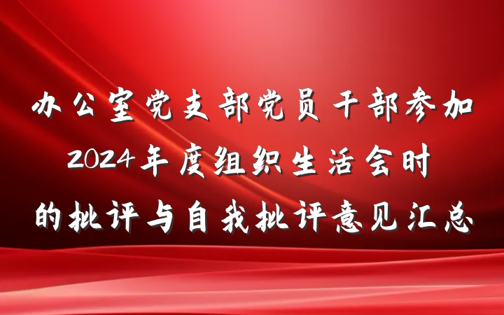 办公室党支部党员干部参加2024年度组织生活会时的批评与自我批评意见汇总