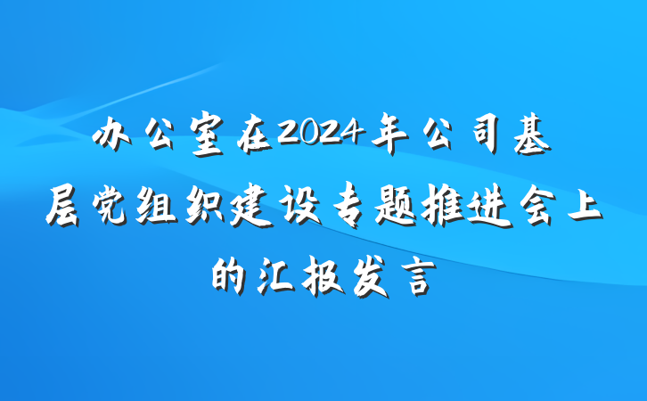 办公室在2024年公司基层党组织建设专题推进会上的汇报发言