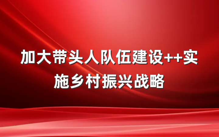 加大带头人队伍建设  实施乡村振兴战略